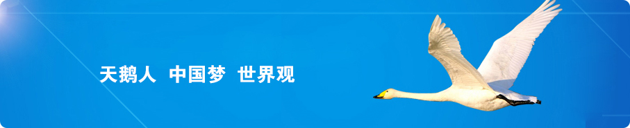 企業(yè)文化